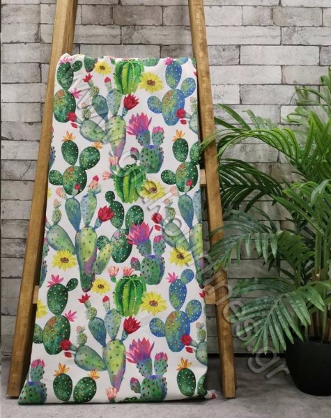 kourtinatropicalkaktoi-min