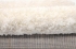 3-11-pc00a-510_3